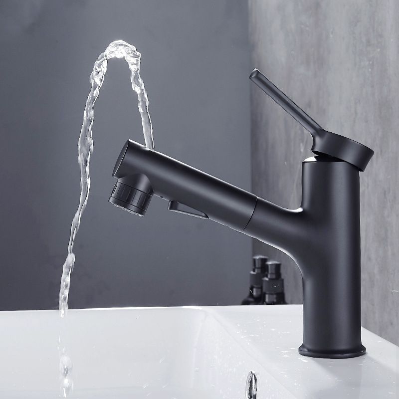 Modern Kitchen Sink Faucet with Pull-Out Spray nozzle