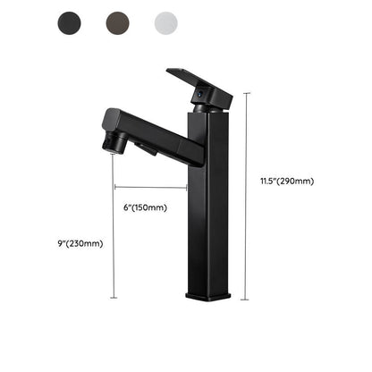 Modern Single Handle Bathroom Faucet with Pull Out Spray