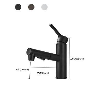 Modern Single Handle Bathroom Faucet with Pull Out Spray