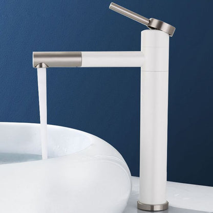 Contemporary Single Handle Stainless Steel Kitchen Faucet