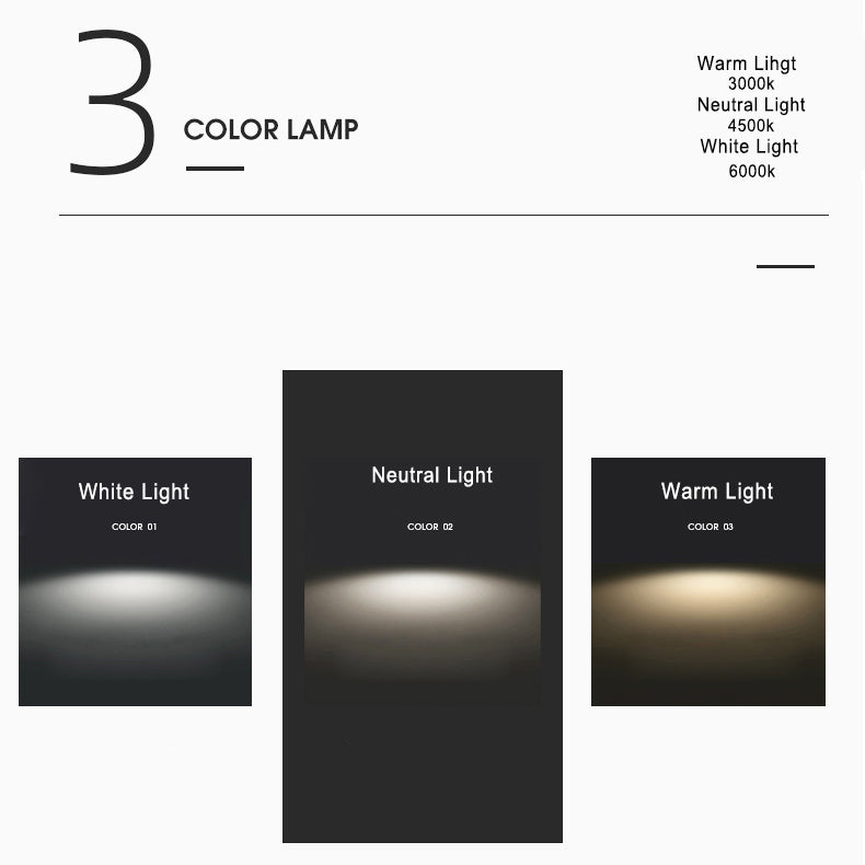 Modern LED Ceiling Lamp Adjustable Color