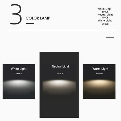 Modern LED Ceiling Lamp Adjustable Color