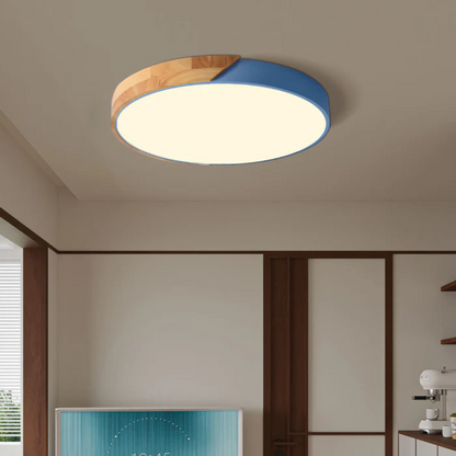 Eco Friendly Modern LED Ceiling Light