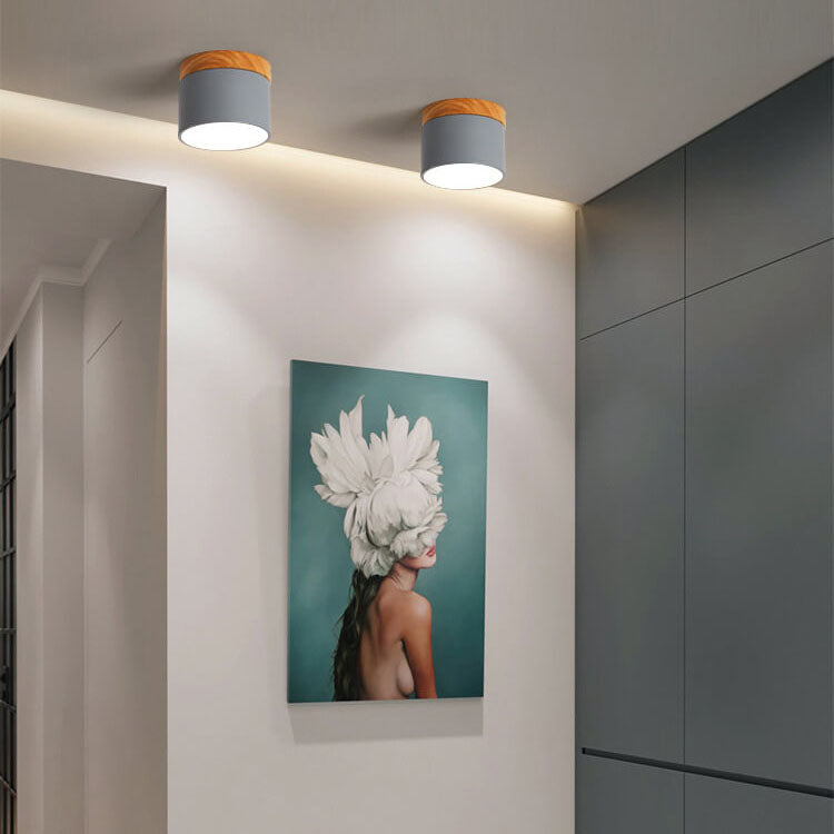 Modern LED Ceiling Lamp Adjustable Color