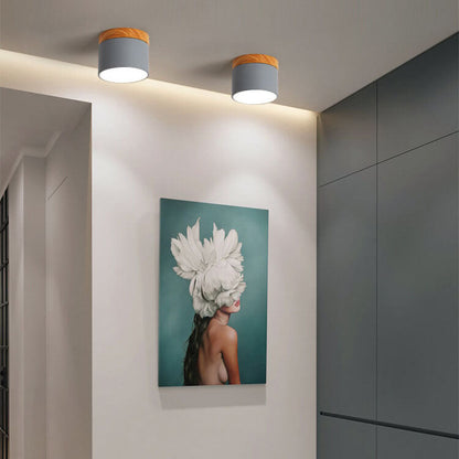 Modern LED Ceiling Lamp Adjustable Color