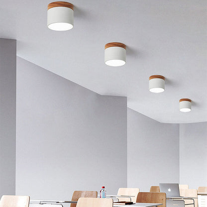 Modern LED Ceiling Lamp Adjustable Color