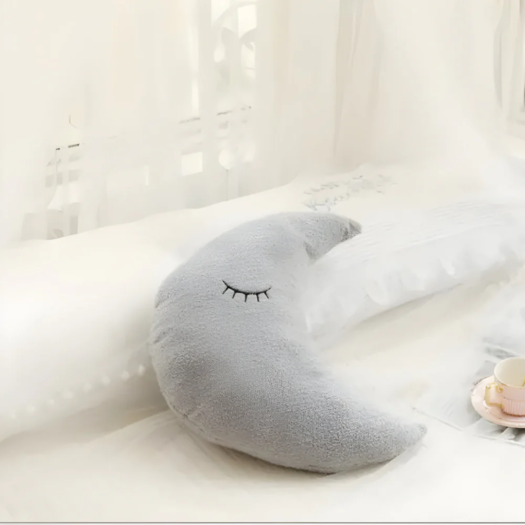 Soft Luxury Throw Pillow