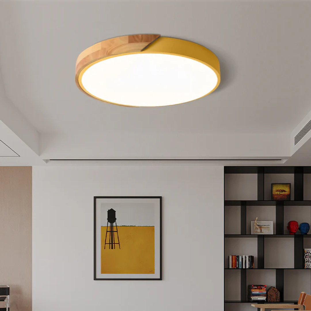 Eco Friendly Modern LED Ceiling Light
