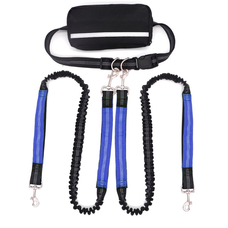 Adjustable Dog Running Leash with Pouch Bag