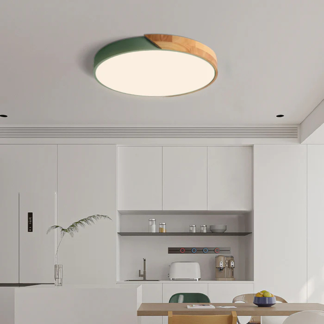Eco Friendly Modern LED Ceiling Light