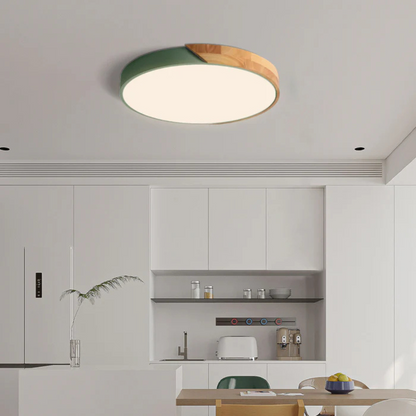 Eco Friendly Modern LED Ceiling Light