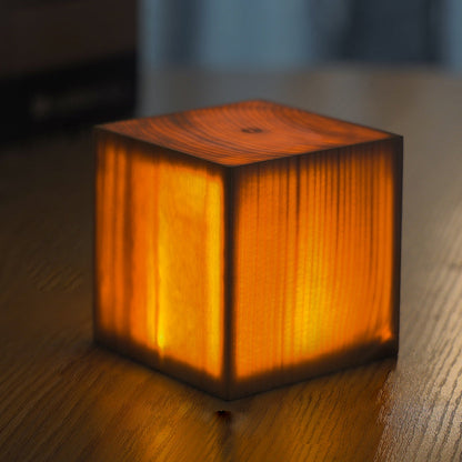 Portable LED Desk Lamp with USB Rechargeable Touch Control
