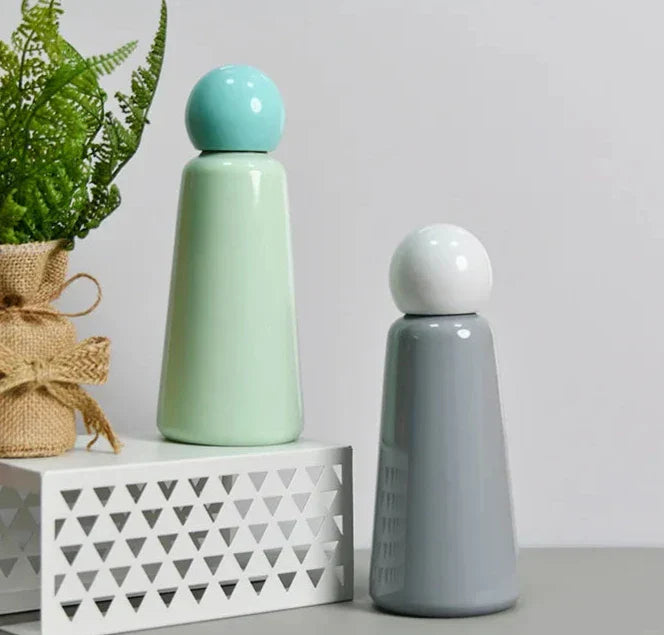 Insulated Thermal Water Bottle