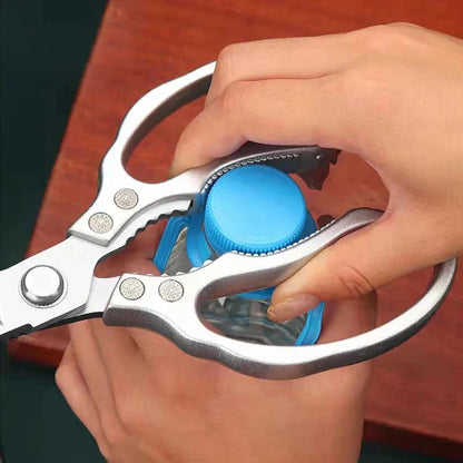 Sharp Stainless Steel Premium Kitchen Shears