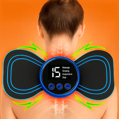 Natural Back Pain Relief and Cognitive Support Supplement