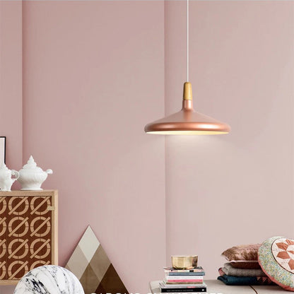 Stylish Metal Drop Pendant Light