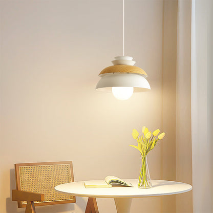 Modern Round Pendant Hanging Ceiling Light