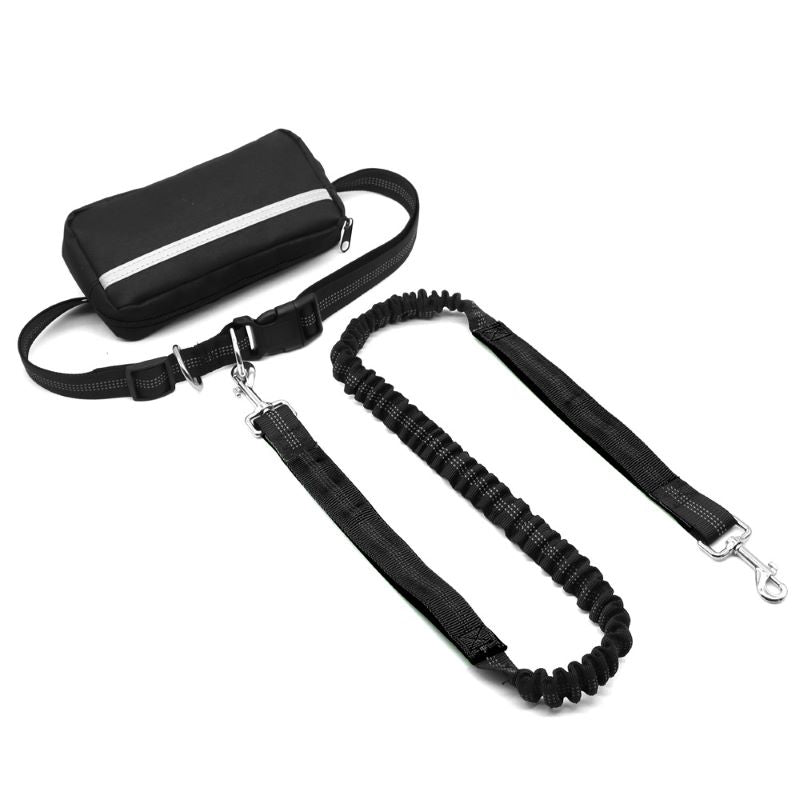 Adjustable Dog Running Leash with Pouch Bag