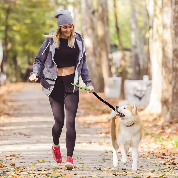 Easy Walk Hands-Free Dog Leash