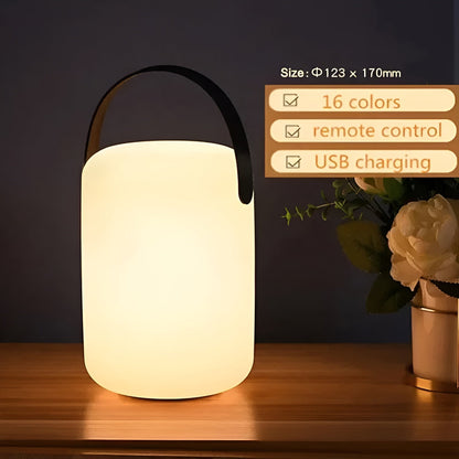Colorful LED Portable Waterproof Light