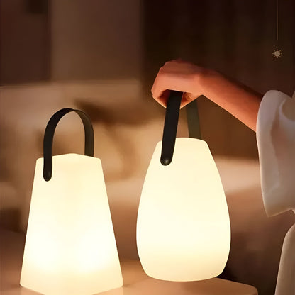 Colorful LED Portable Waterproof Light