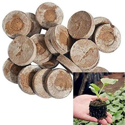 Educational Kids Food Building Blocks