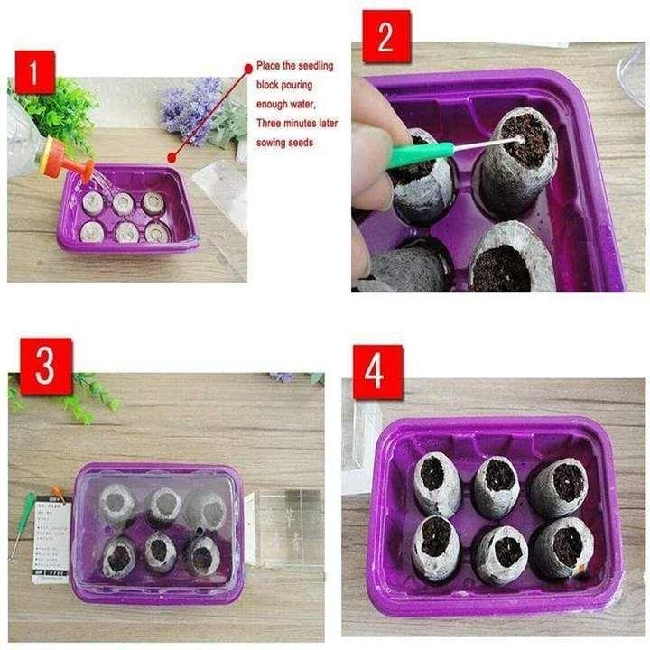 Educational Kids Food Building Blocks