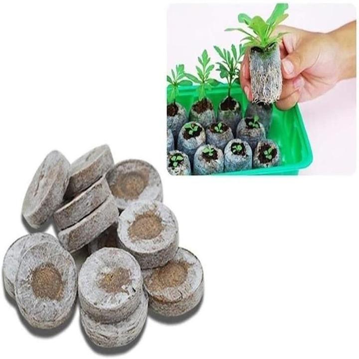 Educational Kids Food Building Blocks