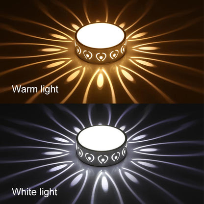 Bright LED Ceiling Lamp for Home Entrance