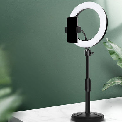 Round LED Vanity Light with Base