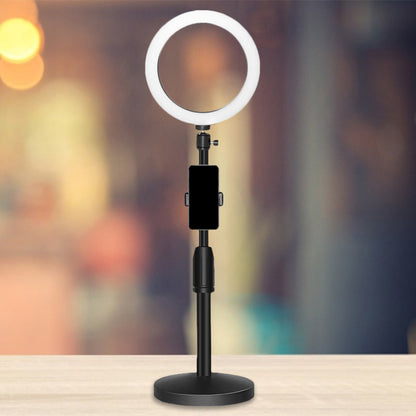 Round LED Vanity Light with Base