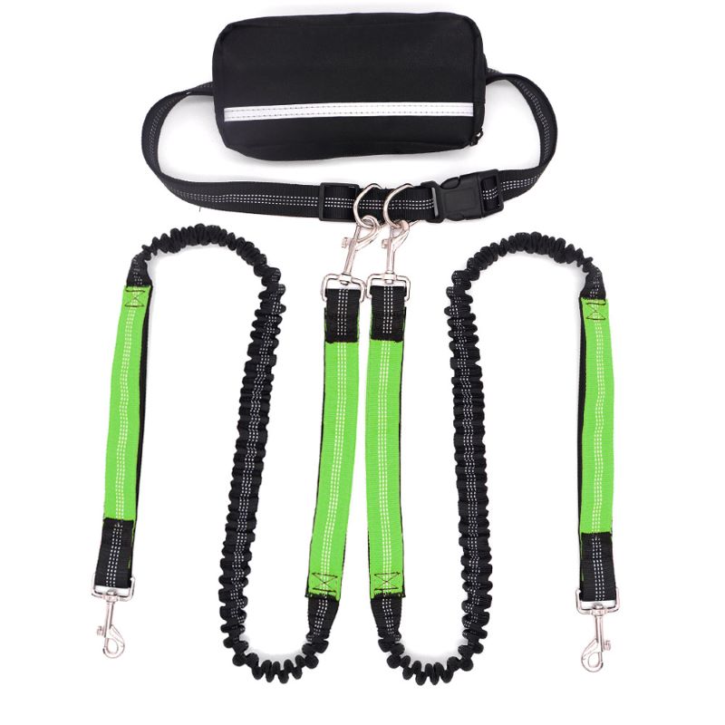 Adjustable Dog Running Leash with Pouch Bag