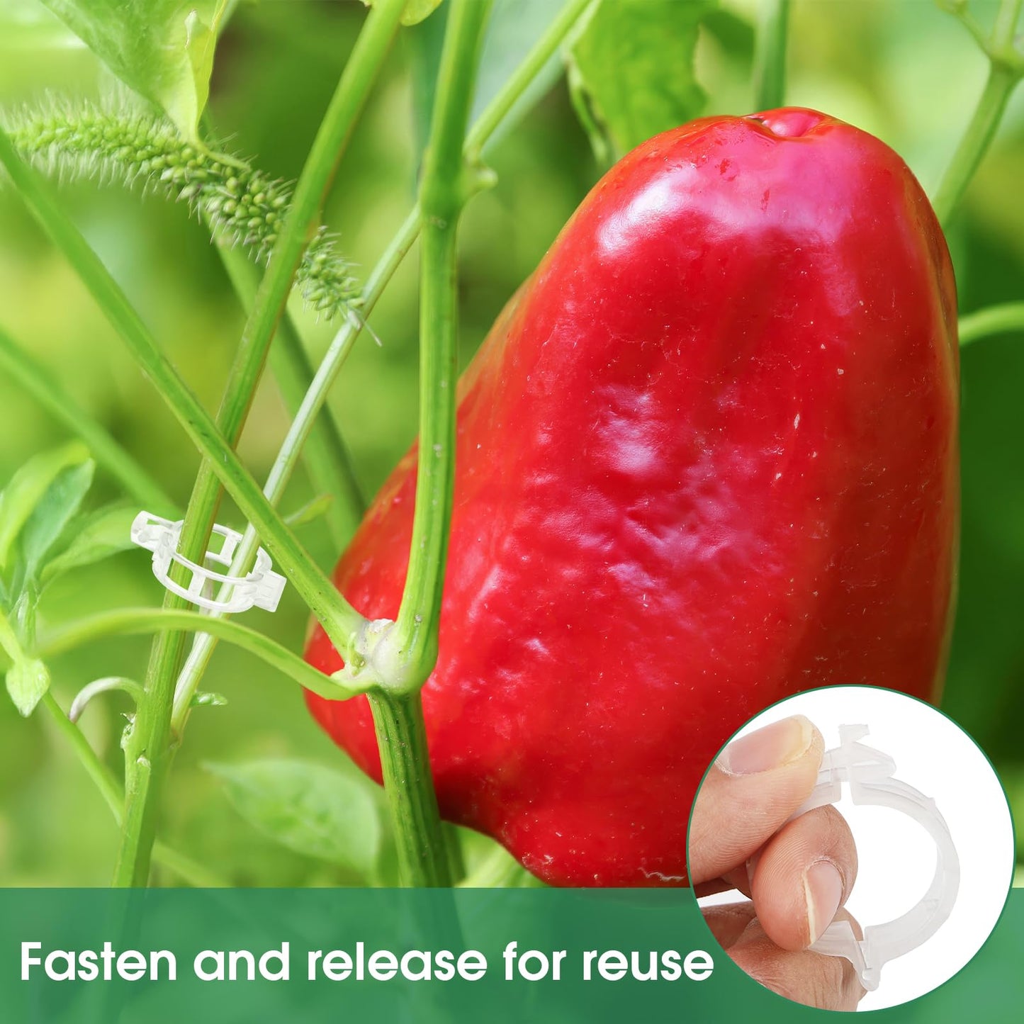 Easy Plant Tomato Holders, Garden Trellis Clips
