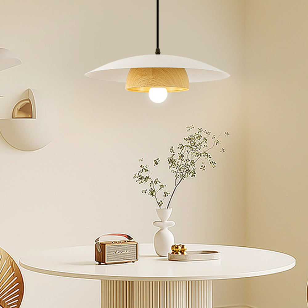 Modern Round Pendant Hanging Ceiling Light