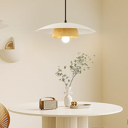 Modern Round Pendant Hanging Ceiling Light