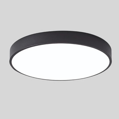 Eco Friendly Modern LED Ceiling Light