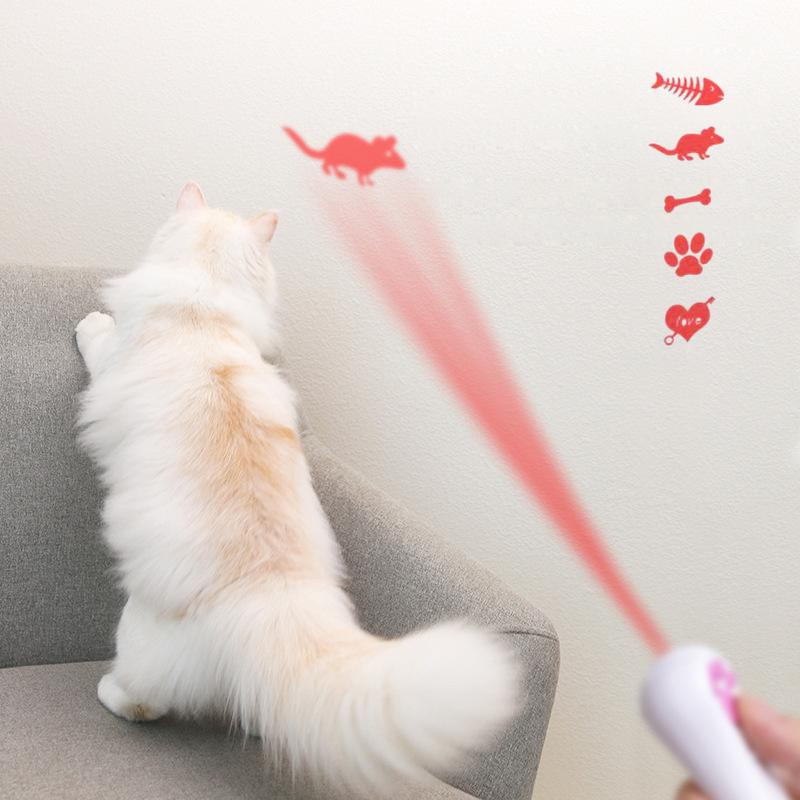 Fun Cat Laser Pointer Toy with USB Charging