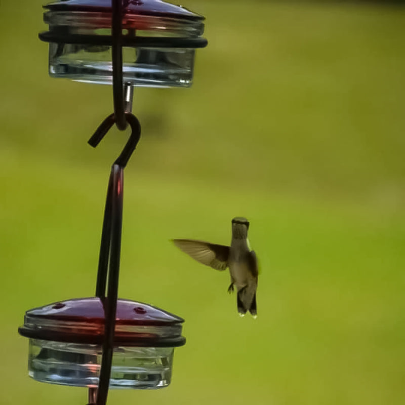 Classic Bird Shaped Metal Water Dispenser