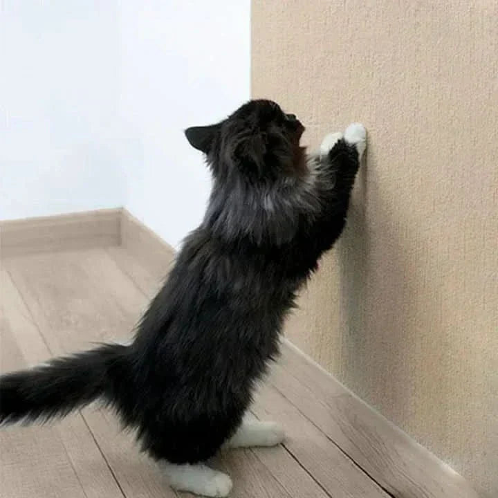 Durable Cat Scratcher Mat Protector