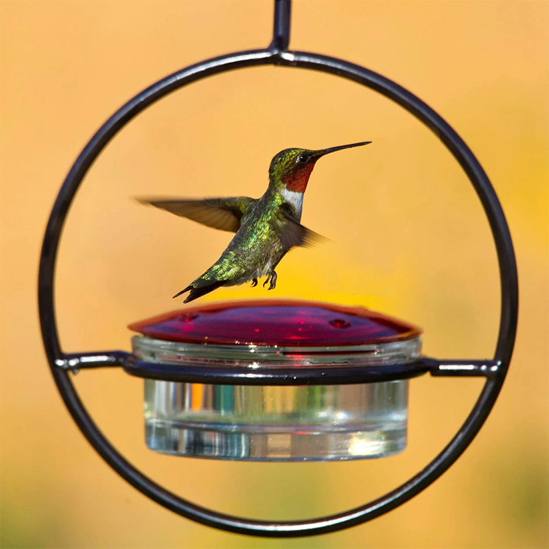 Classic Bird Shaped Metal Water Dispenser