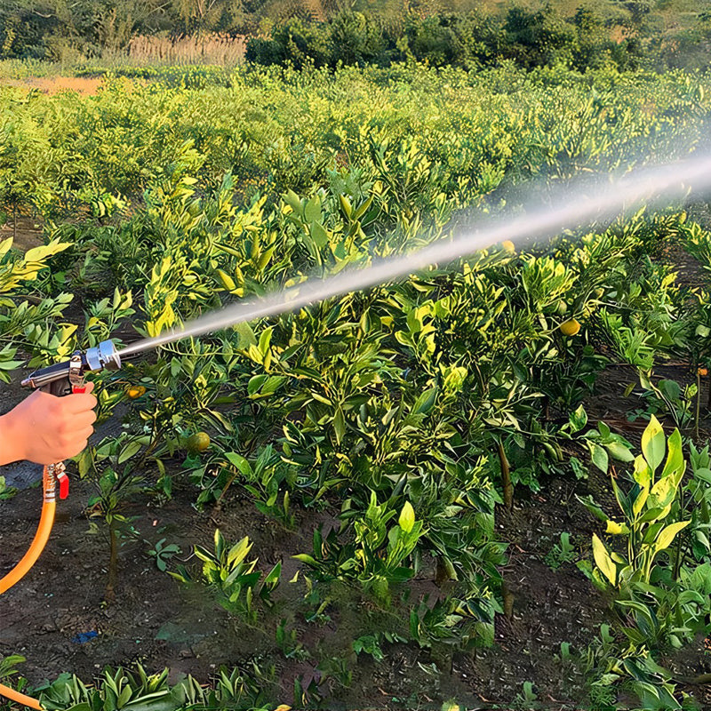 Powerful Electric Spray Gun Tool