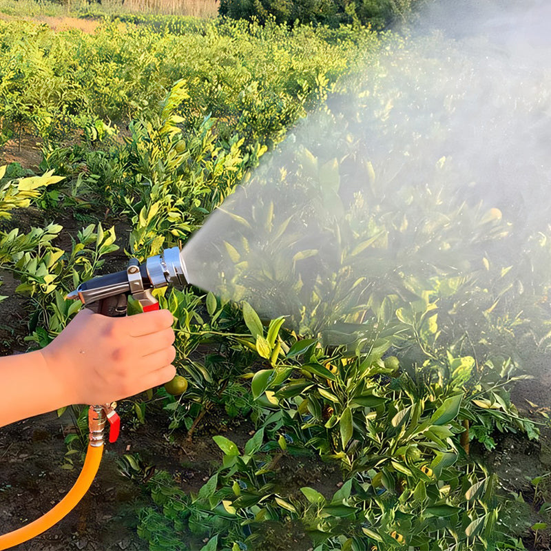 Powerful Electric Spray Gun Tool