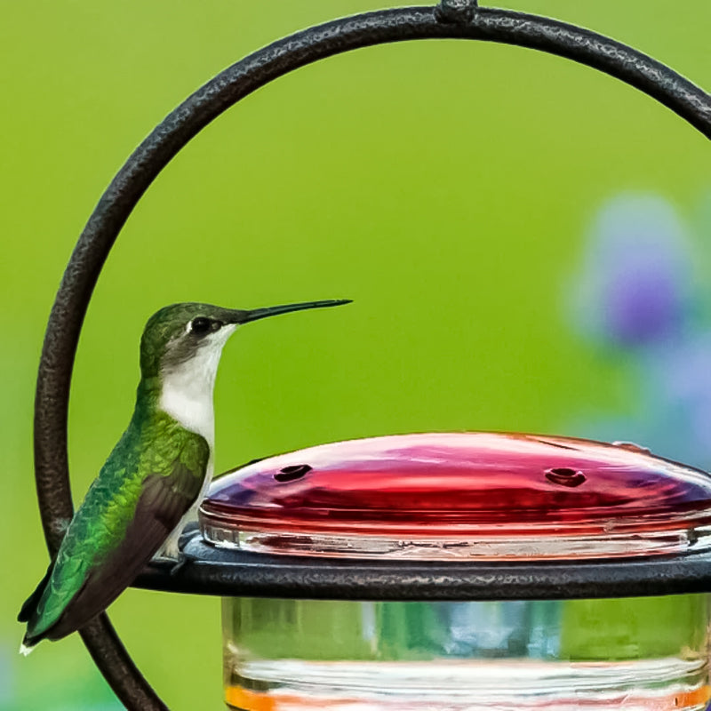 Classic Bird Shaped Metal Water Dispenser