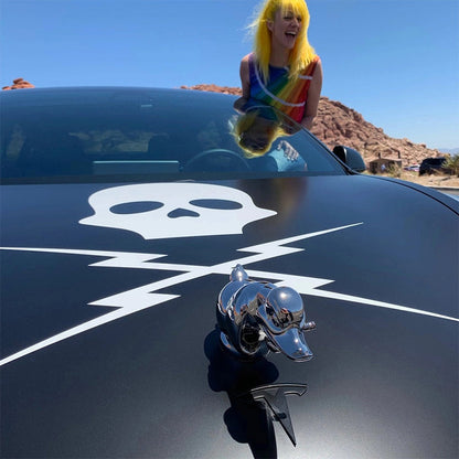 Funny Car Duck Hood Decoration