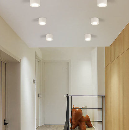 Sleek White 12W Ceiling Light Fixtures for Bedroom Living Room