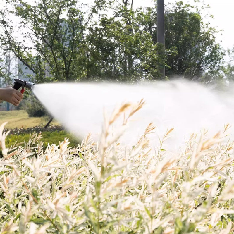 Powerful Electric Spray Gun Tool
