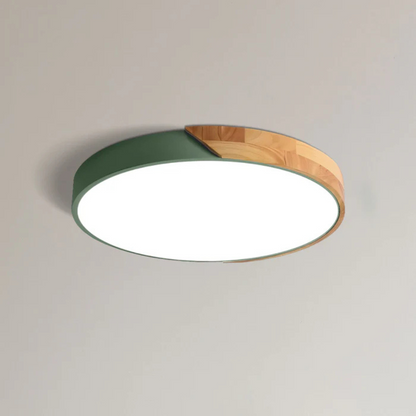 Eco Friendly Modern LED Ceiling Light