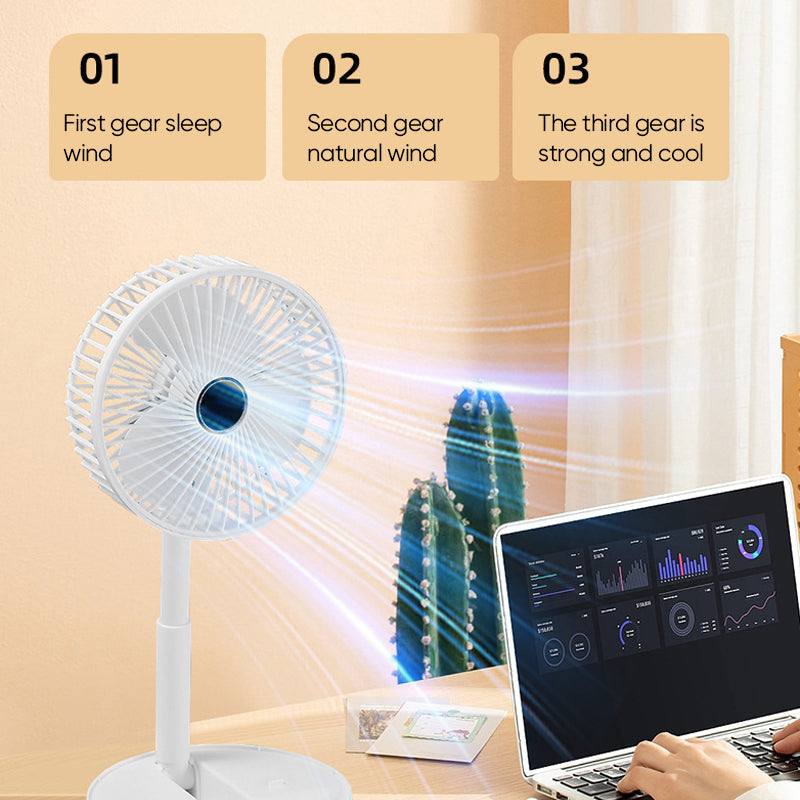 Portable Compact Folding Hand Fan