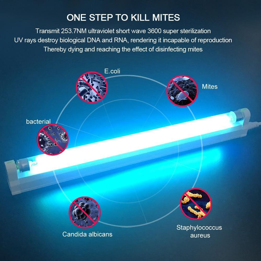 Compact UV Germicidal Table Lamp