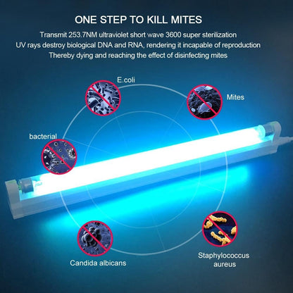 Compact UV Germicidal Table Lamp